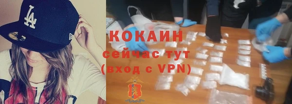 спайс Горняк
