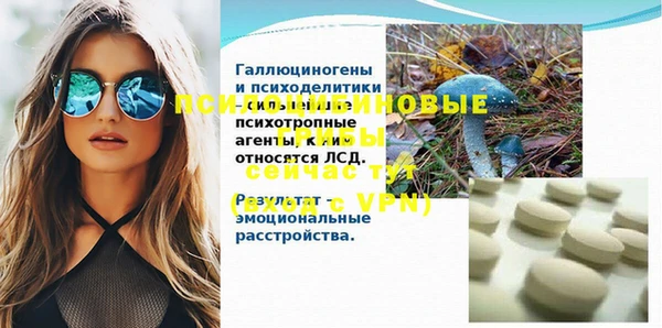 apvp Горнозаводск