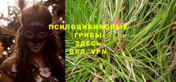 apvp Горнозаводск